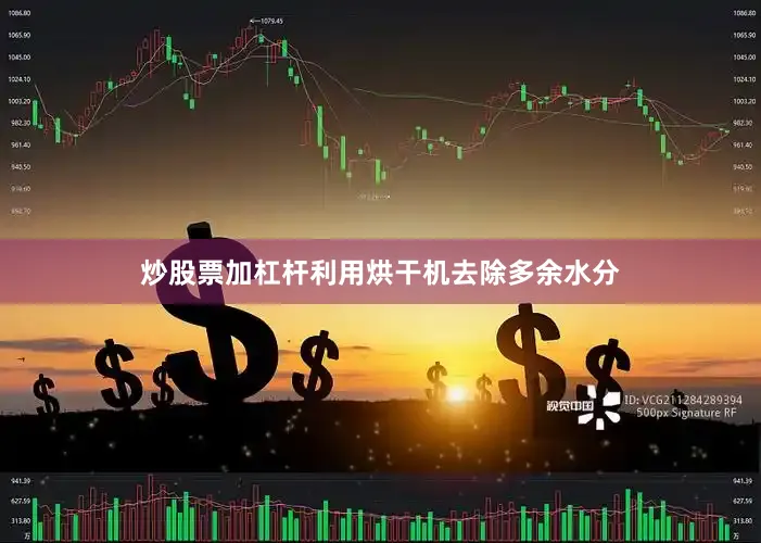 炒股票加杠杆利用烘干机去除多余水分